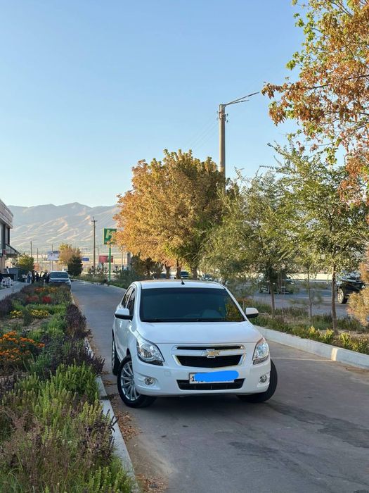 Kobolt 2024 yil kraska toza