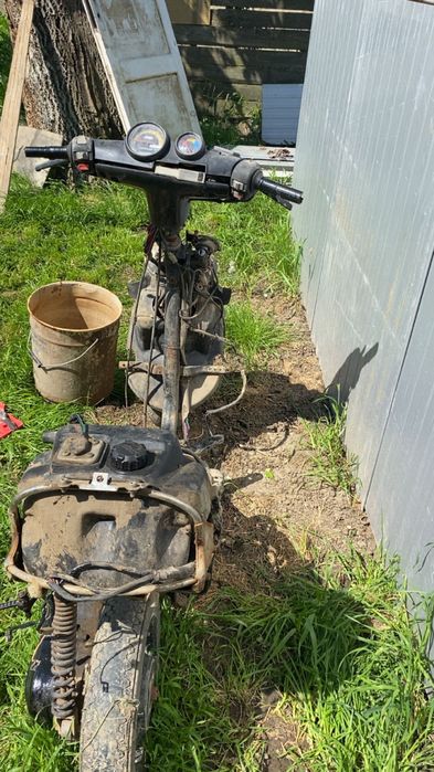 Vând malaguti f10