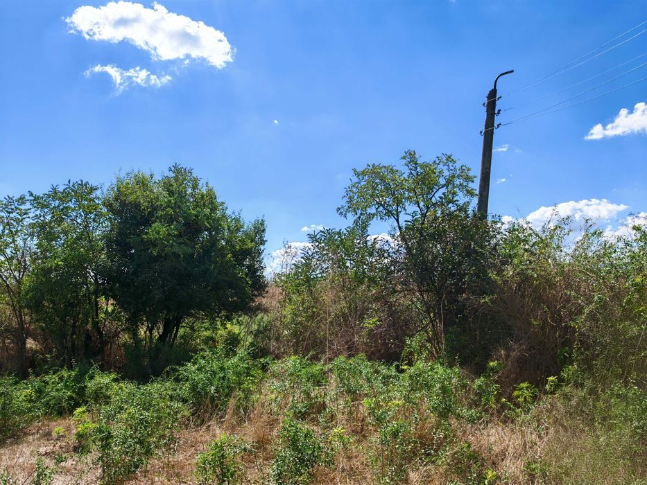 Продава се Парцел в с. Маленово, Област Ямбол - 2000 кв.м за 2 €/кв.м - Снимка #8