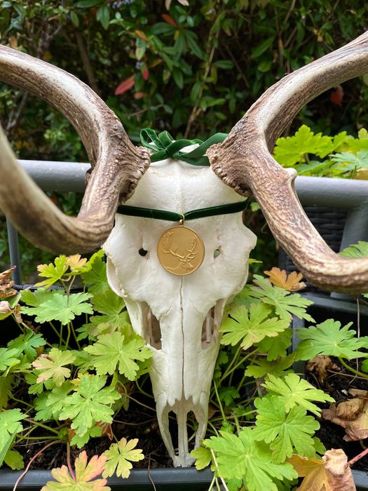 Златен медалист трофей от Елен лопатар