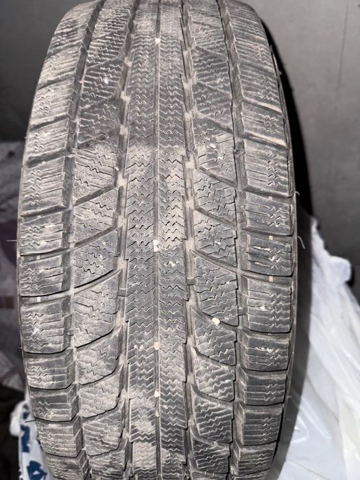 Зимние шины  TRIANGLE