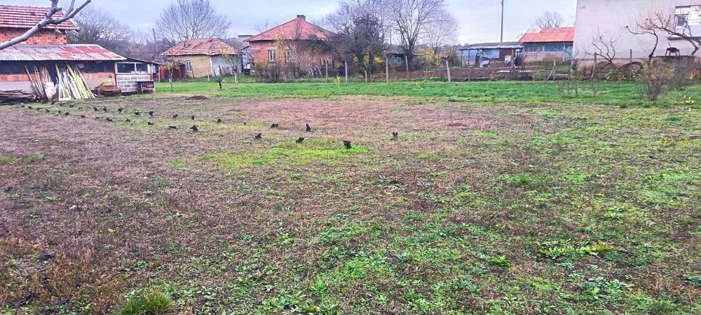 Парцел в Монтана, област-с.Липен площ 947 цена 10226