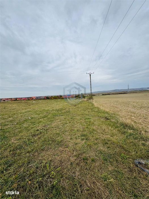 Teren de vanzare Cheriu