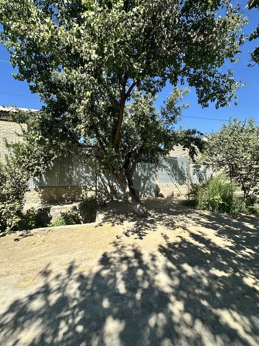 Uchastka sotiladi 6 sotixli