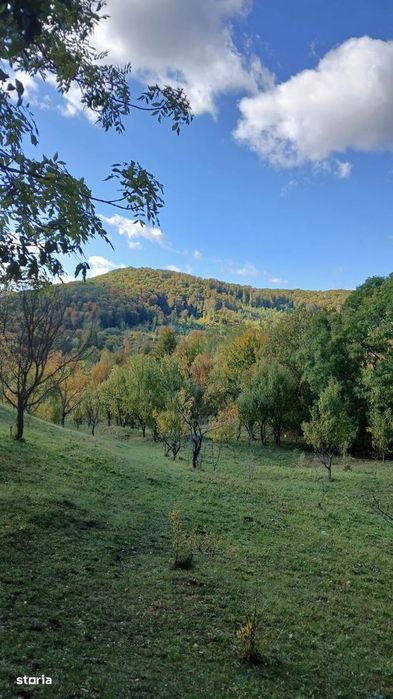 Case de vanzare-case de vacanta, Campina, Plaiul Campinei