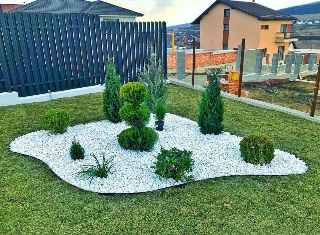 Vindem plante ornametale tuia smarald lilandi mesteceni enuperi brazi