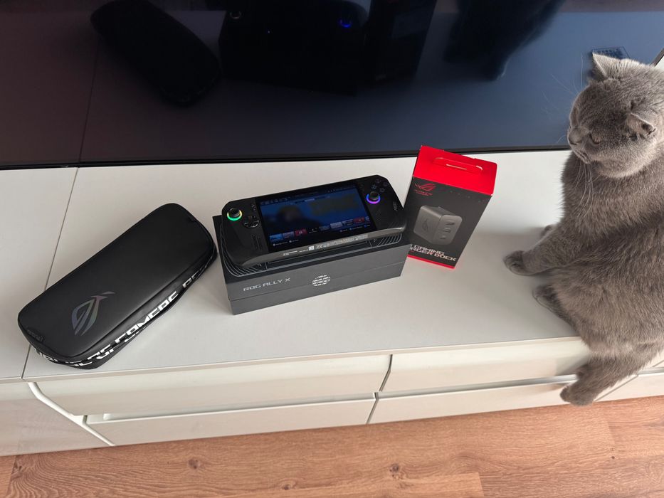 Asus rog ally x 24gb Z1 extreme 1tb ssd 256 card