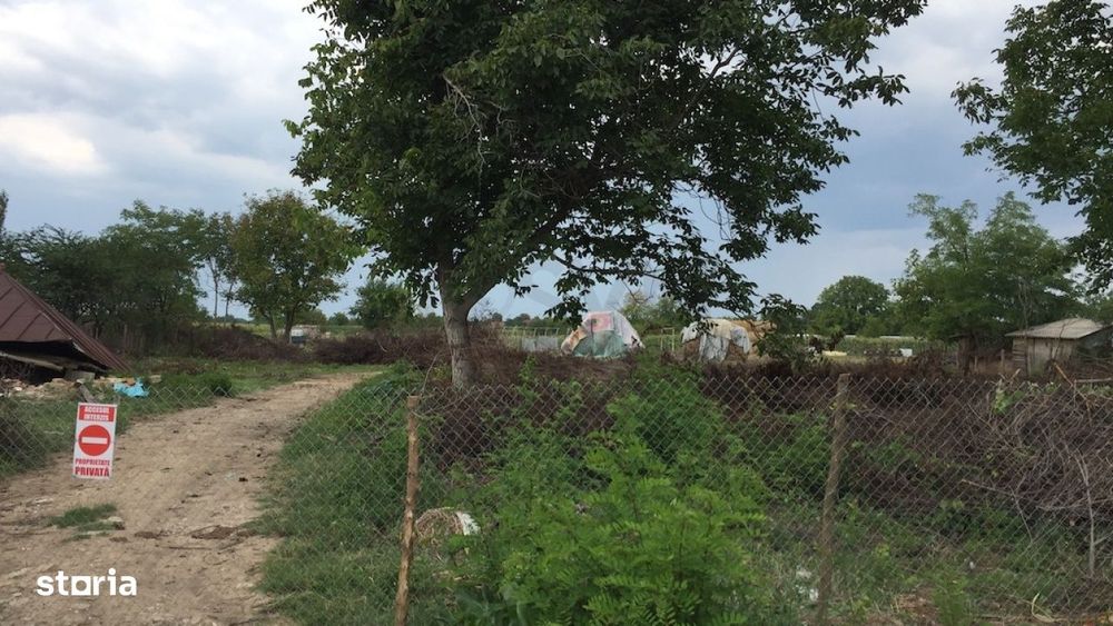 Teren Ciolpani - Piscu - loturi intre 968 mp si 974 mp