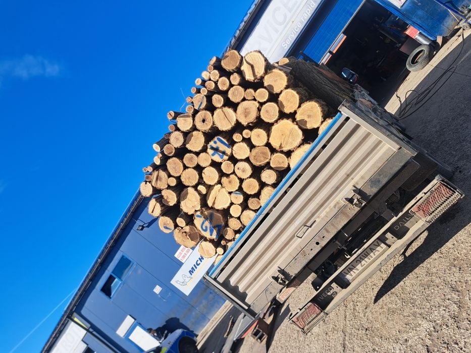 Lemne de vânzare fag și stejar salcâm