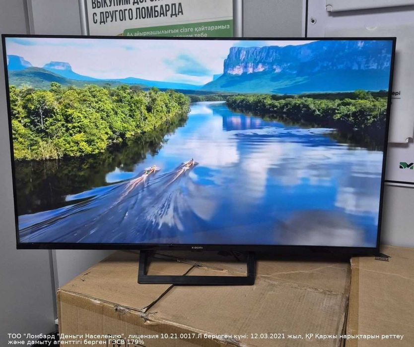 Xiaomi 43д-110см (Зелинского 30/4) лот 797074