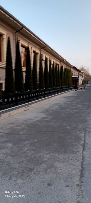 Archa xar xil mevali daraxlani kesish ularga chiroyli shakll berish