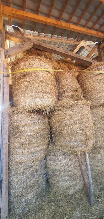 Baloti rotunzi 120/120