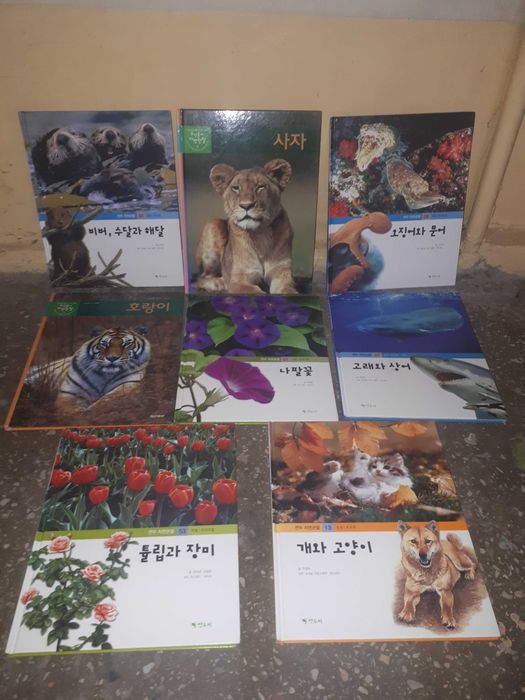 Познавательные обучающие книги на корейском языке