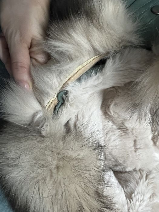 Парка в отличном состоянии М размер 110см