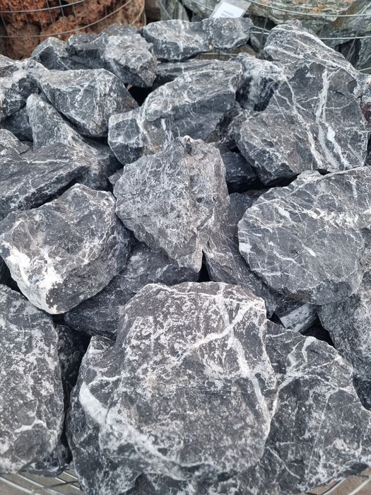 Bolovani ornamentali