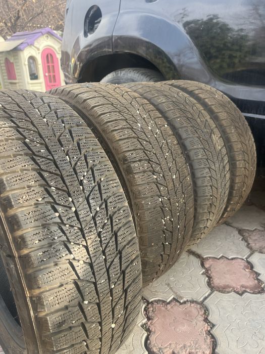 Зимние шины Triangle