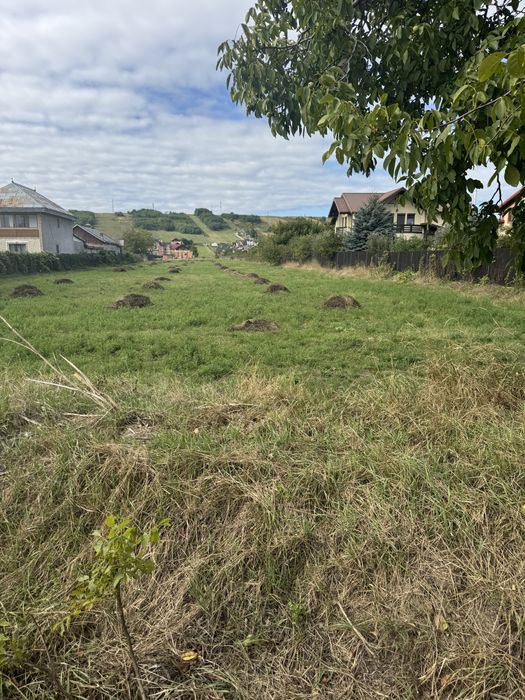 Teren de vanzare Margineni, Str Tineretului