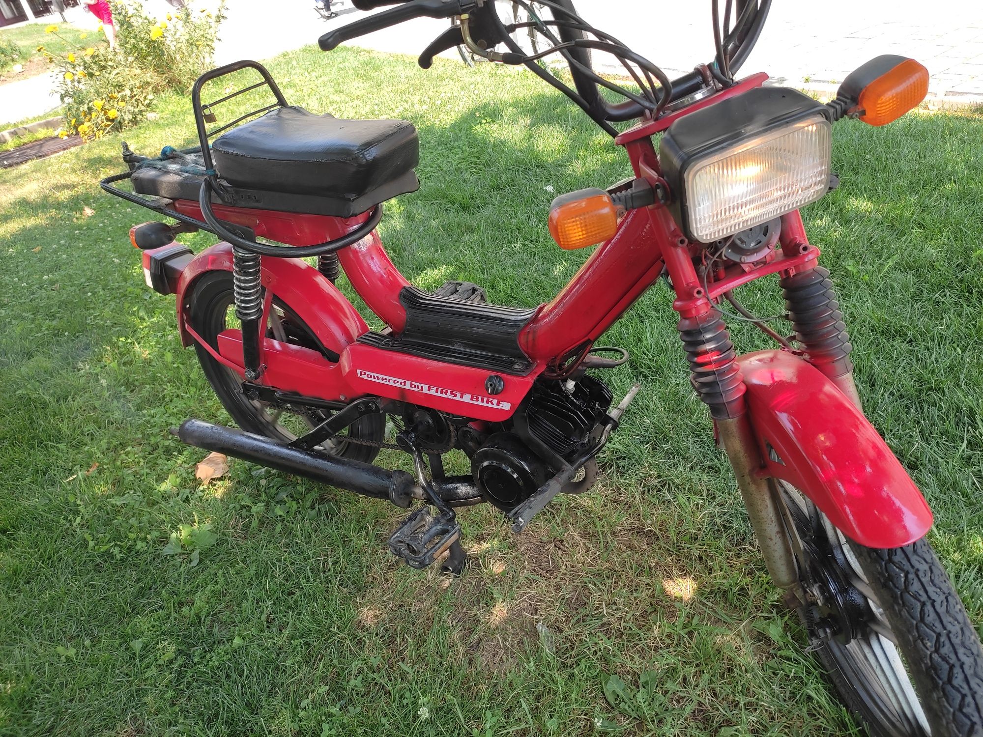 Moped froiz bike