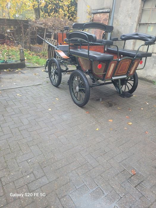 Vând trăsură maraton de Olanda