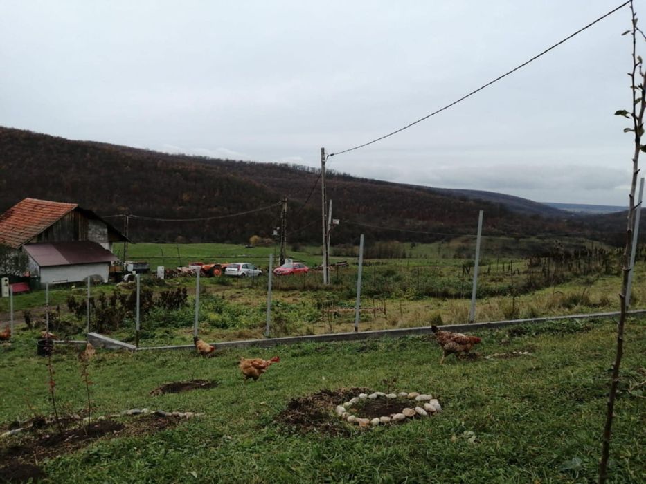 Teren intravilan Buzad ,50km Timișoara