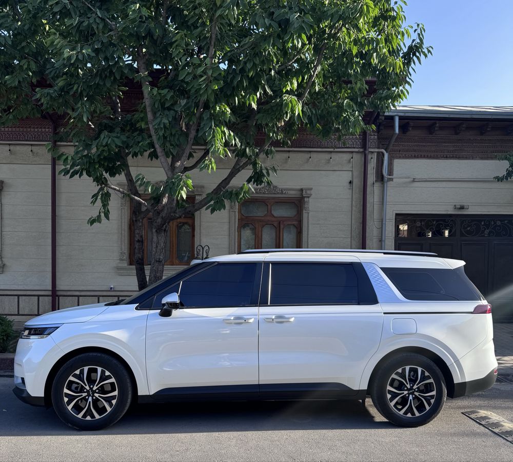 Kia Carnival.