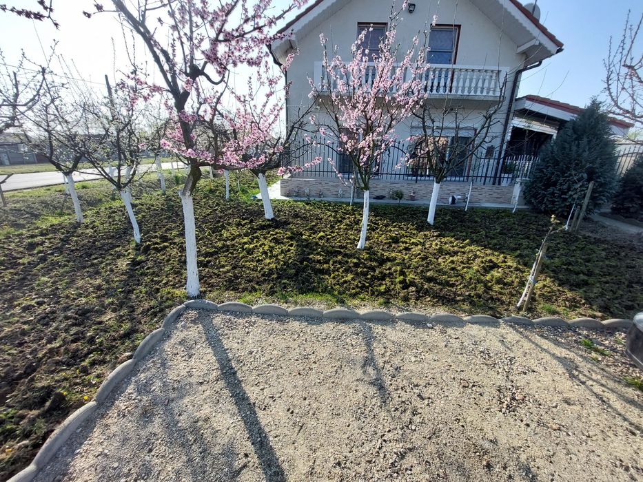 Servicii Gazon și Grădină: Curățare, Tăiere, Însămânțare, Întreținere!