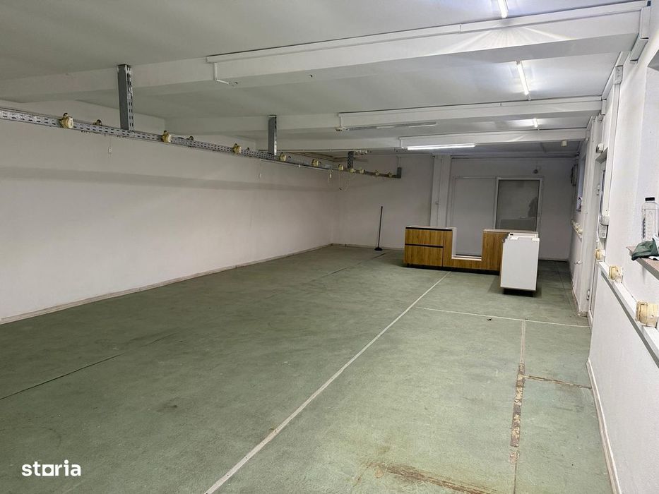 Inchiriere hala depozitare/productie, 87 mp, Viforata, Aleea Sinaia