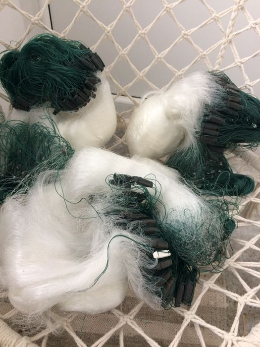 Plase de pescuit ave