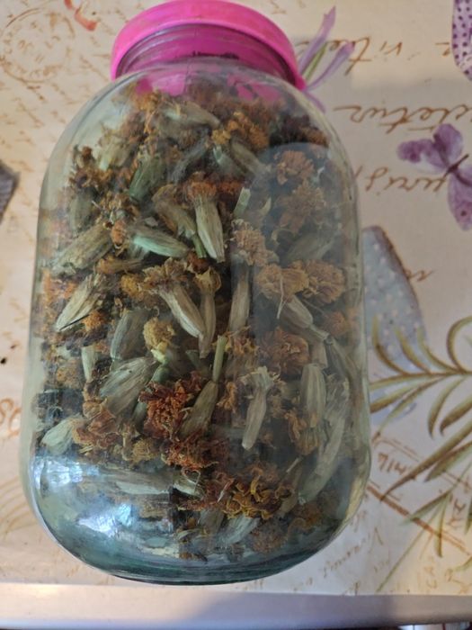 Бархатцы семена. Двухлитровая банка