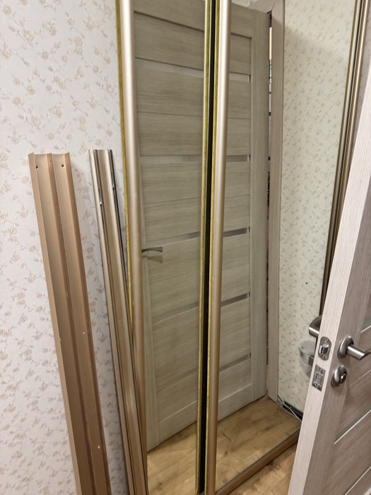 Дверь купе -зеркало