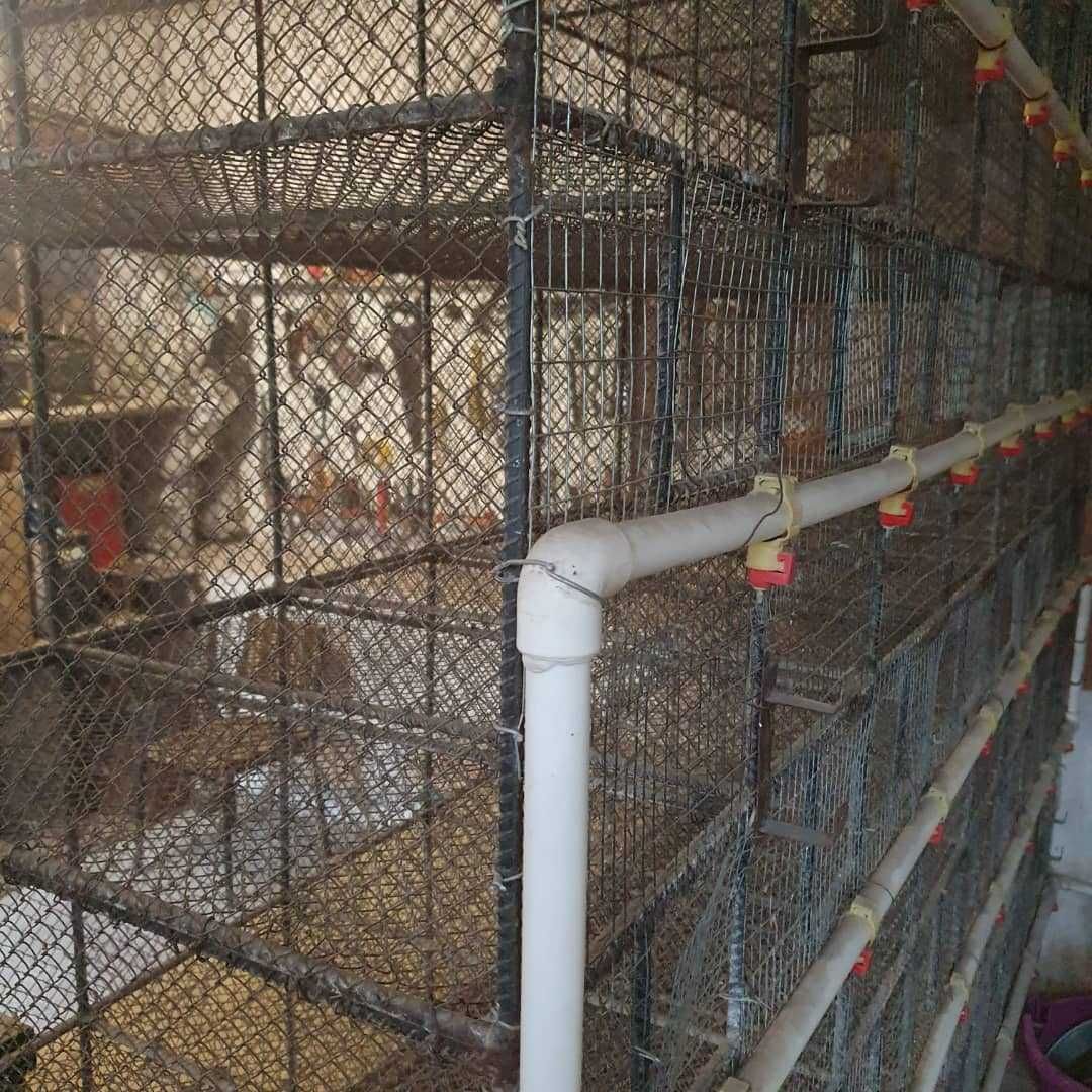 Продаются клетки для птиц