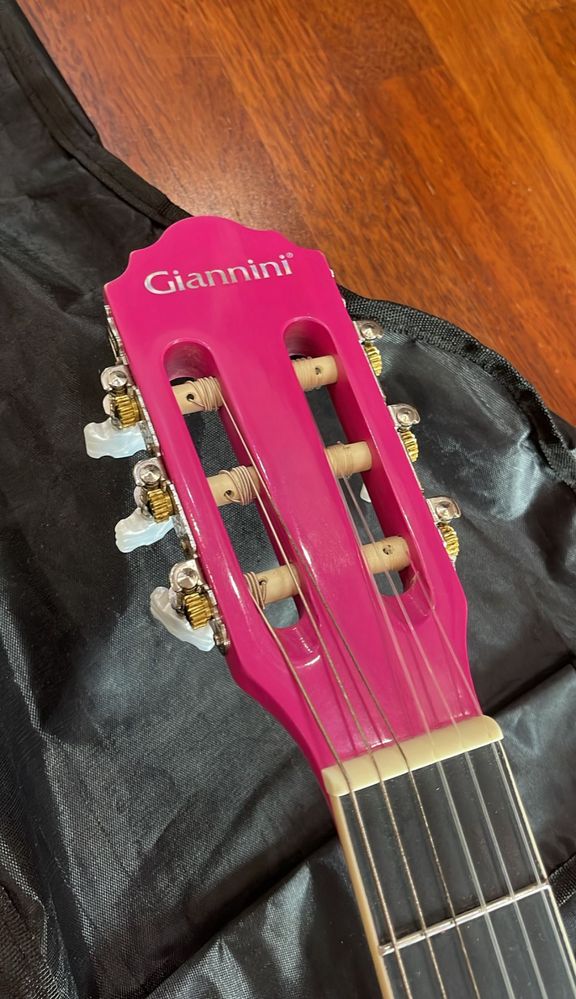 Гитара Giannini