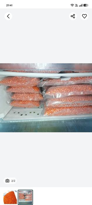 Doar 30 lei/ kg catina