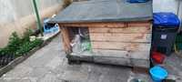 Уникална кучешка колиба с изолация и вдигащ се покрив