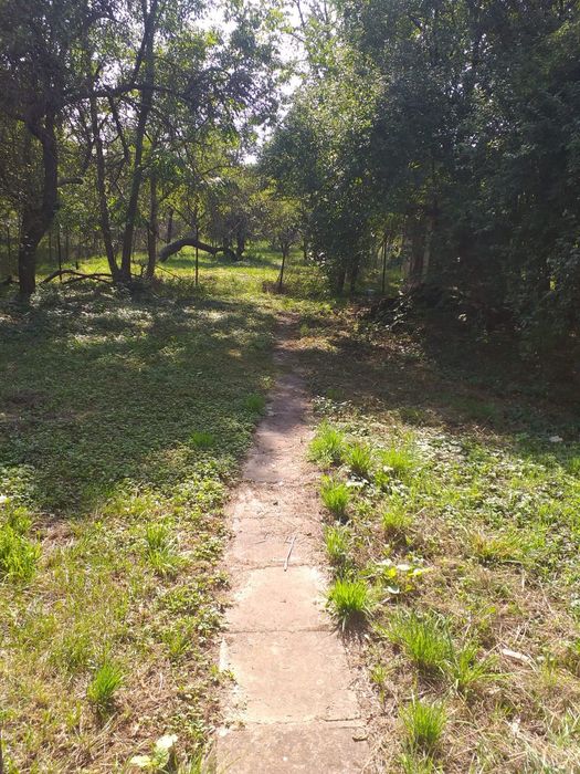 Vând casă în Vașcău, Bihor