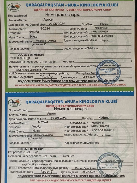 Продается щенок порода немецкая авчарка