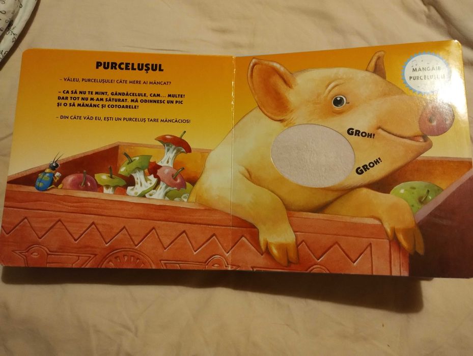 Ferma mea - atinge, simte, asculta