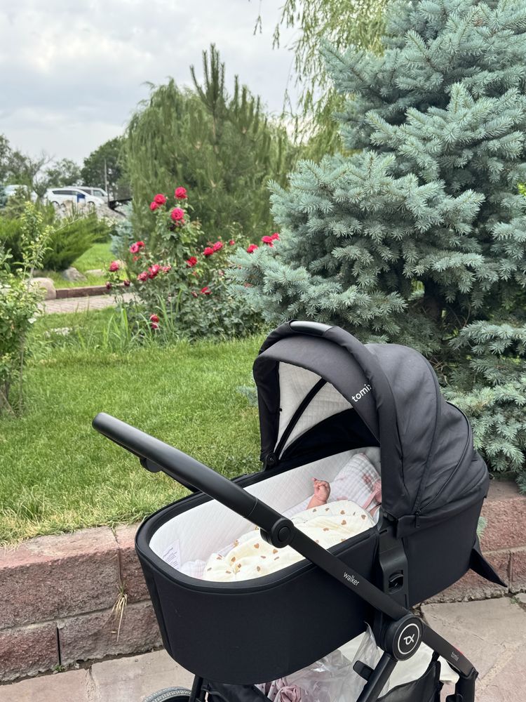 Детская коляска Tomix Easy Walker 2 в 1