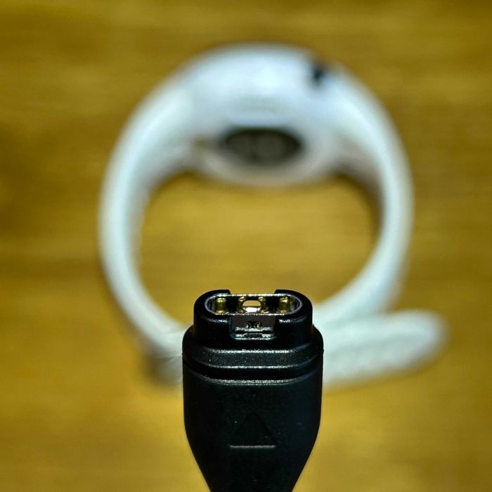 Garmin Forerunner 45S