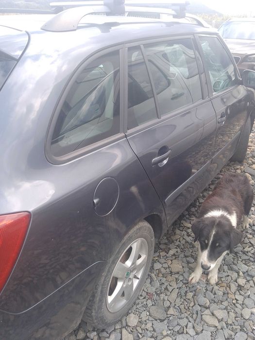 Vând Skoda Fabia Grenlinne