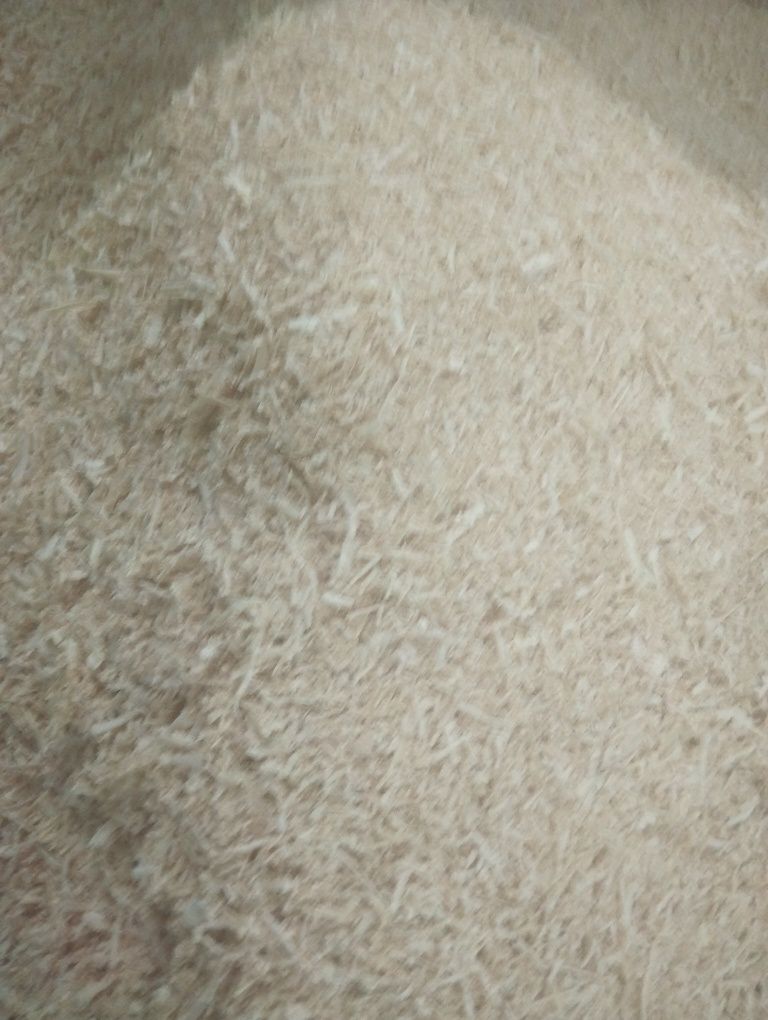 Apilka sotiladi sasnaniki qopi 7000 sumdan