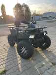 Квадроцикл Tao Motor MaxCruiser 250