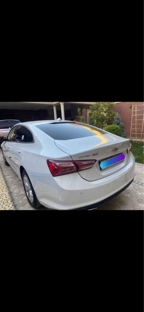 MALIBU premier 2020