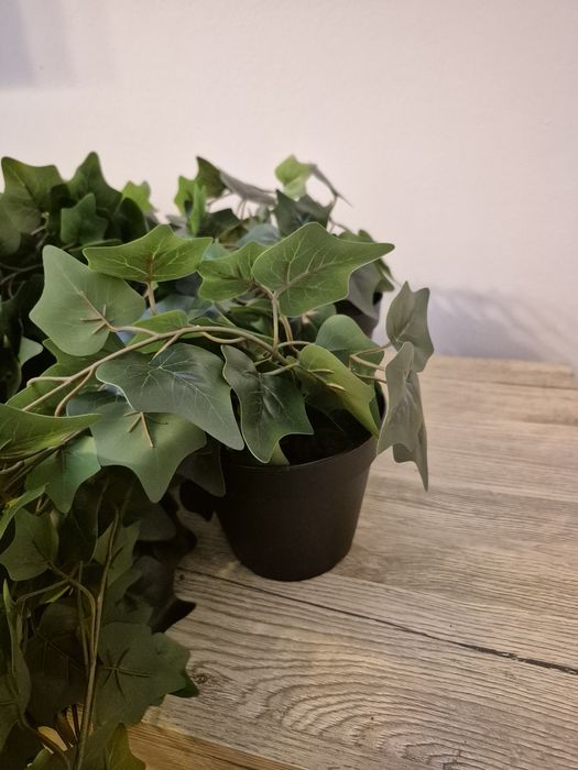 6 x Fejka Ikea plantă artificială iedera,interior/exterior/suspendată