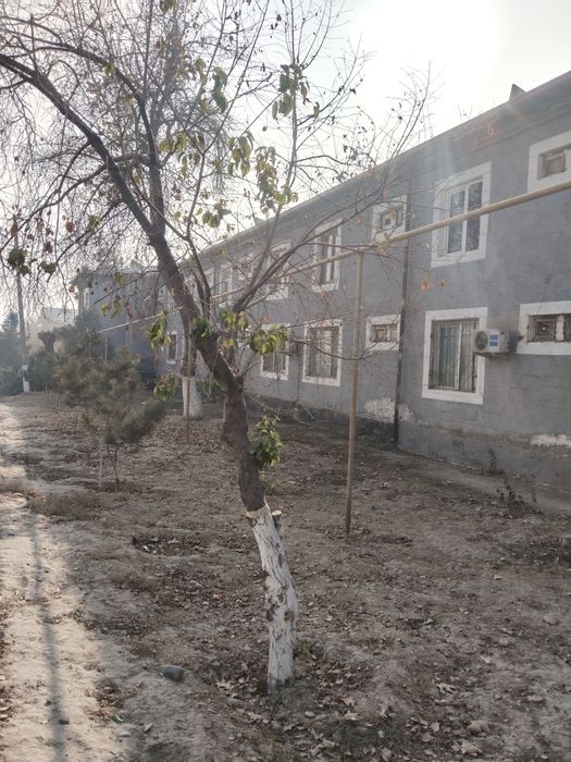 Ул.Беруни г.Янгиюль ПРОДАЮ 2-х ком.  ЕВРОРЕМОНТпервый этаж 2/1/2 СВОЯ