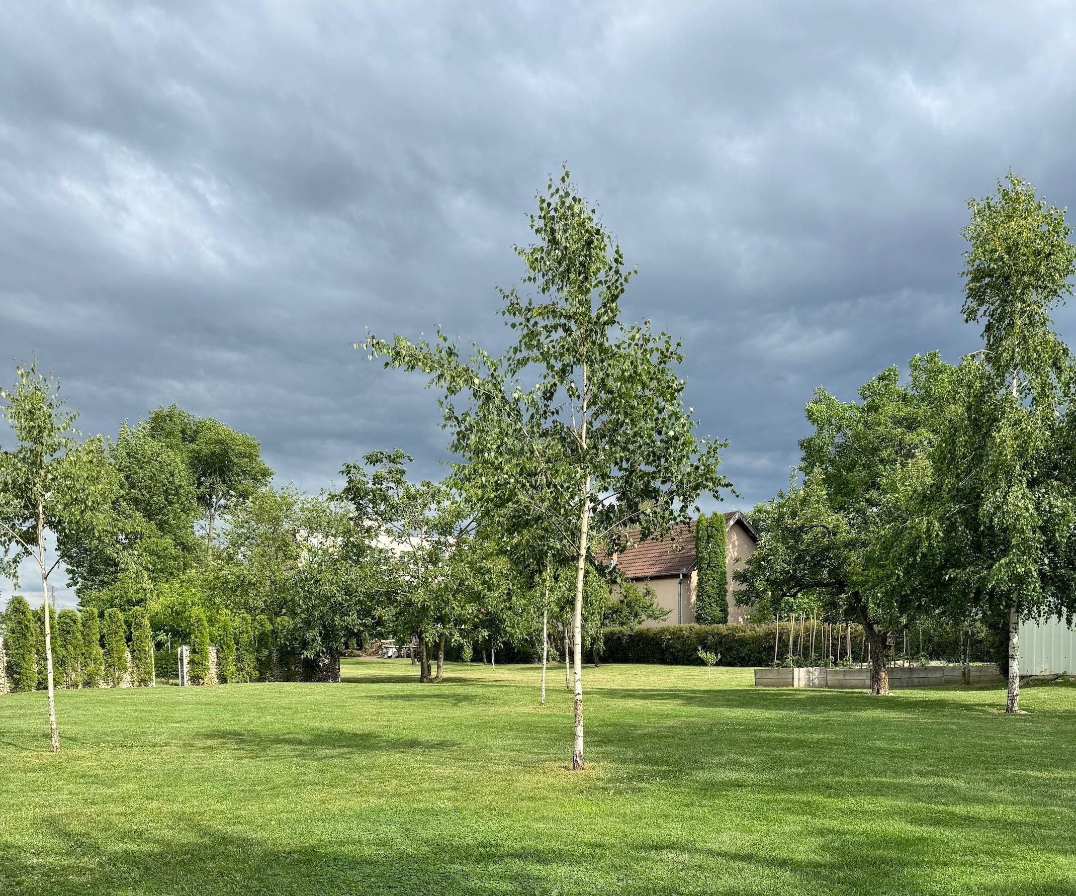 greenscape - peisagistică, grădinărit, întreținere spații verzi