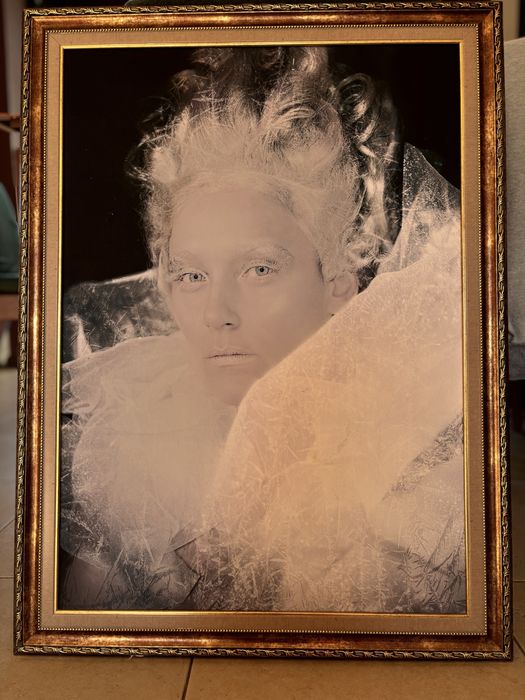 Картина Снимка Ретуш