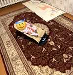 Продам палас ковёр