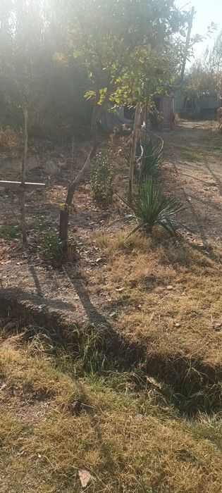 Bosh yer sotiladi 8 sotik