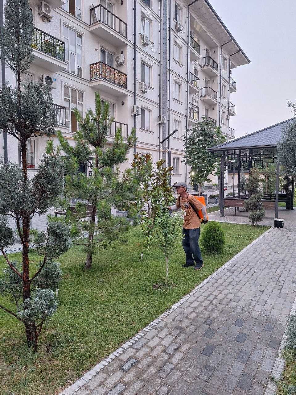 Сдается квартира
